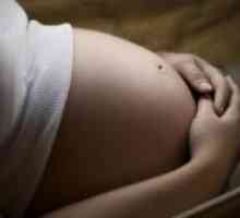 Есенциале по време на бременност