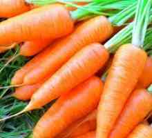 Защо сънувам моркови?