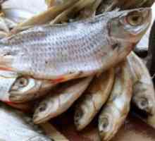 Как да съхранявате сушена риба у дома?