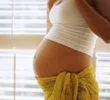 Как и кога може да се определи пола на нероденото бебе?