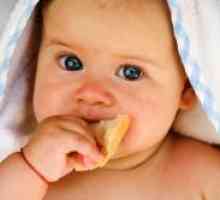 Как да се научи детето да дъвче твърда храна?