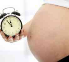 Как да се определи възрастта на бременността на месец?