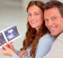 Как да се определи възрастта на бременността?