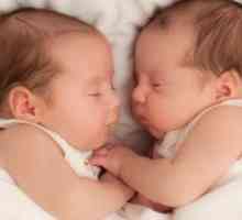 Как се родят близнаци?