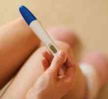 Как да се използва тест за бременност?