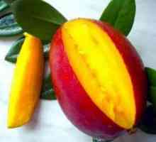 Как да расте едно манго?