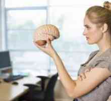 Как да тренирате мозъка?
