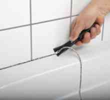 Как да премахнете мухъл в банята на уплътнителя?