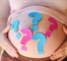 Как да разберете пола на бебето?