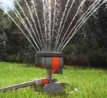 Как да изберем най-пръскачки за поливане на градината?