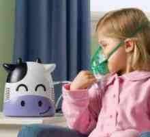 Как да изберем един инхалатор?