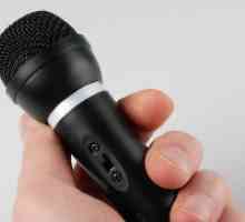 Как да изберем микрофон за караоке?