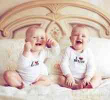 Как да зачене близнаци - маса