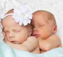 Как да зачене близнаци или близнаци?