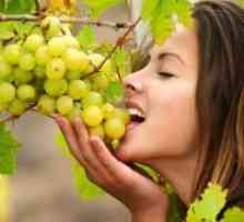 Кой витамин се намира в гроздето?