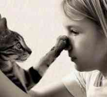 Какво миризма възпира котки?