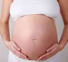Вкаменява стомаха по време на бременност