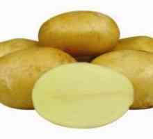Картофи "Jelly" - описание на сорта