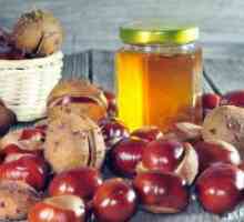 Кестенов мед - полезни свойства и противопоказания