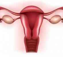 Класификация на гениталното осакатяване на жени