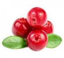 Cranberry - лечебни свойства