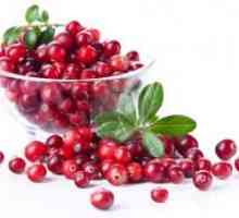 Cranberry - полезни свойства и противопоказания
