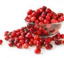 Cranberry цистит - как да се направи?