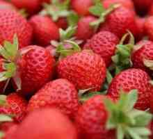 Strawberry Бременност - триместър 3