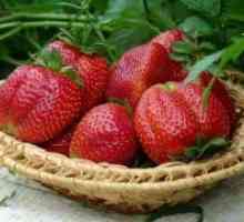 Strawberry катери - клас