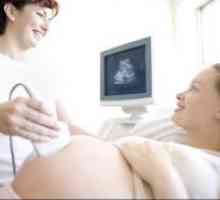 Кога ултразвук по време на бременност?