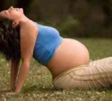 Кога мога да забременея след раждането?
