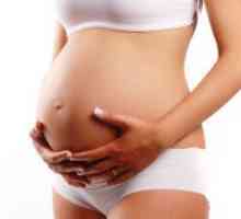 Когато детето започне да се движи в две бременност?