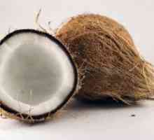Coconut - полезни свойства