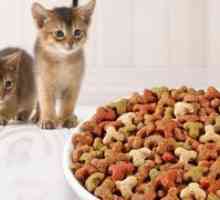 Суха храна за котенца