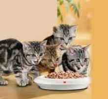 Храна за котки Хилс