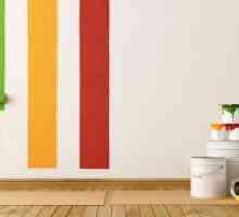 Боядисайте стените в един апартамент - как да изберем?