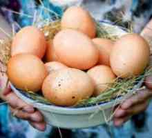 Пиле яйце - калории