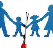 Прекратяване на родителските права на бащата - в основата