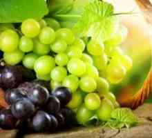 Най-добрите сортове грозде