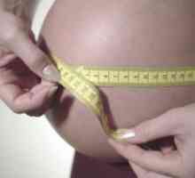 Малката стомаха по време на бременност