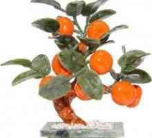 Tangerine дърво - Фън Шуй