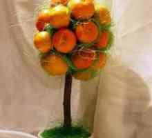 Tangerine дърво с ръце