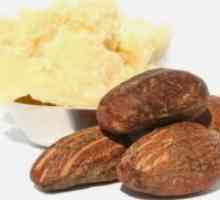 Какаовото масло - свойства и приложения