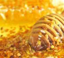 Мед с прашец - полезни свойства и противопоказания