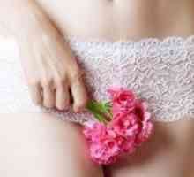 Menstruatsionny цикъл след раждането