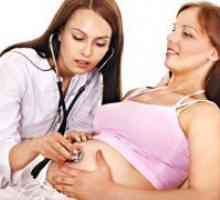 Мека шийката на матката по време на бременност