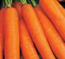 Морковите "Nandrin"