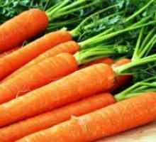 Моркови - полезни свойства