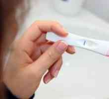 Може ли теста да е отрицателен за бременност?