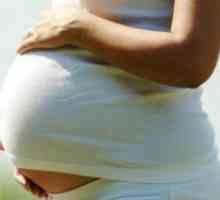 Мога ли бременни кайсии?